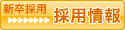 新規採用